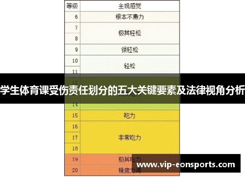 学生体育课受伤责任划分的五大关键要素及法律视角分析