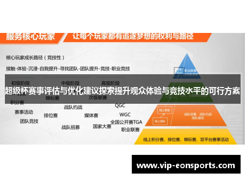 超级杯赛事评估与优化建议探索提升观众体验与竞技水平的可行方案