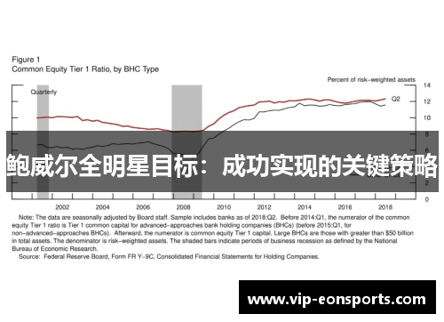 鲍威尔全明星目标：成功实现的关键策略